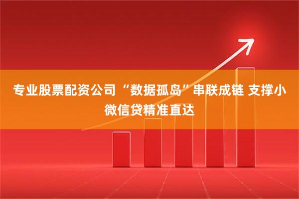 专业股票配资公司 “数据孤岛”串联成链 支撑小微信贷精准直达