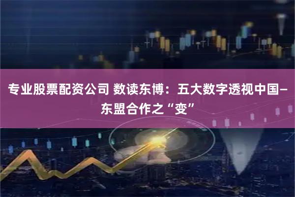 专业股票配资公司 数读东博：五大数字透视中国—东盟合作之“变”