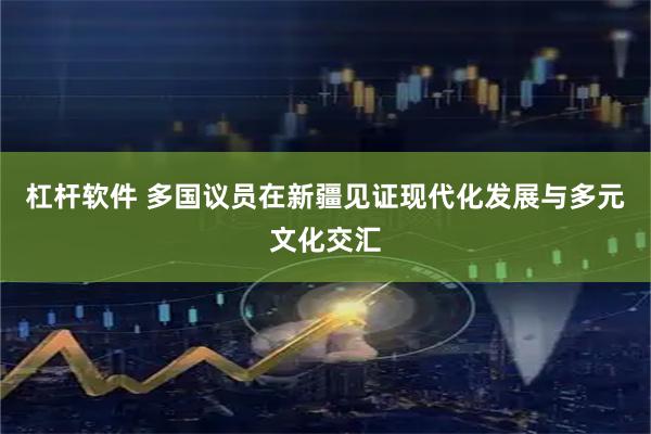 杠杆软件 多国议员在新疆见证现代化发展与多元文化交汇
