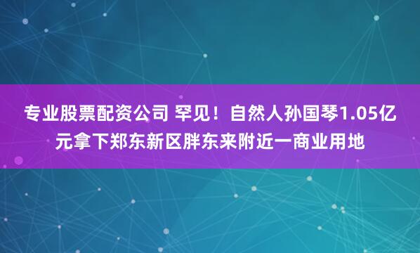 专业股票配资公司 罕见！自然人孙国琴1.05亿元拿下郑东新区胖东来附近一商业用地