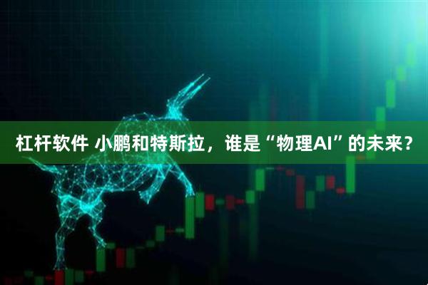 杠杆软件 小鹏和特斯拉，谁是“物理AI”的未来？