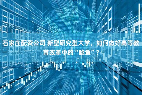 石家庄配资公司 新型研究型大学，如何做好高等教育改革中的“鲶鱼”？