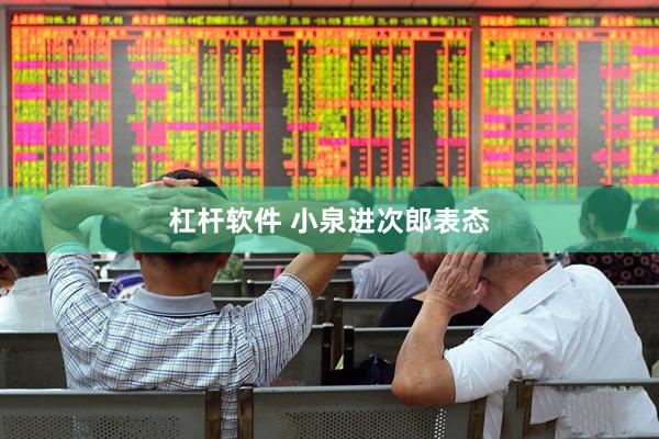 杠杆软件 小泉进次郎表态