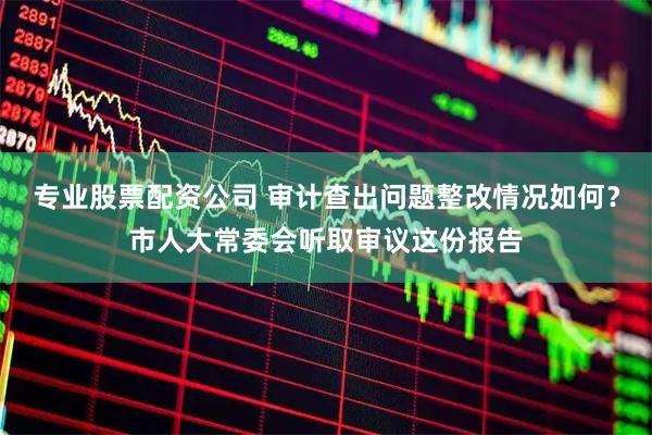 专业股票配资公司 审计查出问题整改情况如何？市人大常委会听取审议这份报告