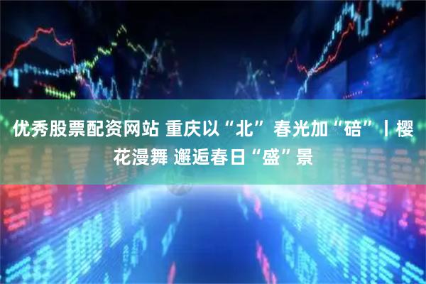 优秀股票配资网站 重庆以“北” 春光加“碚”丨樱花漫舞 邂逅春日“盛”景